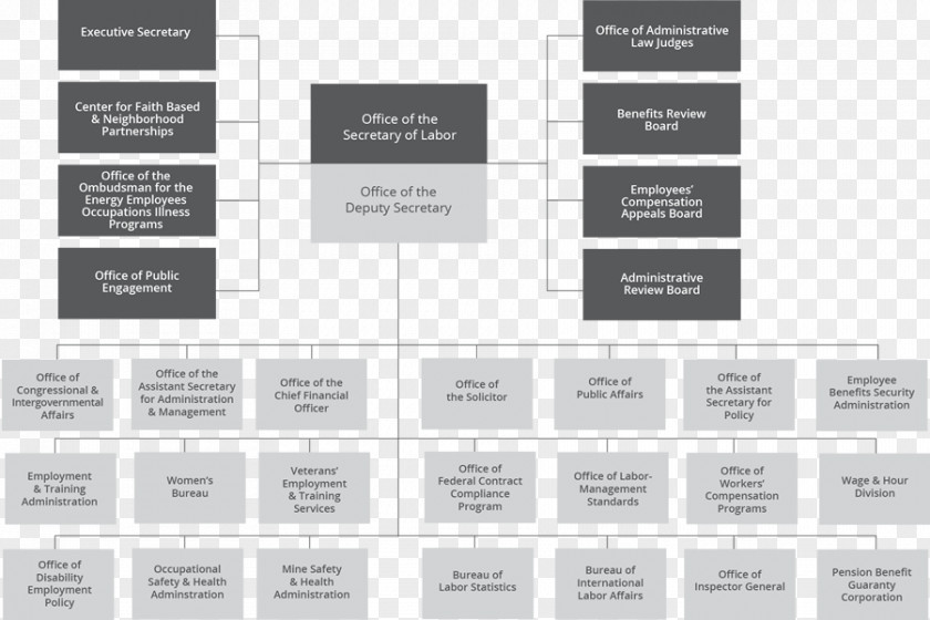 Supply Chain Organizational Structure Brand Font PNG