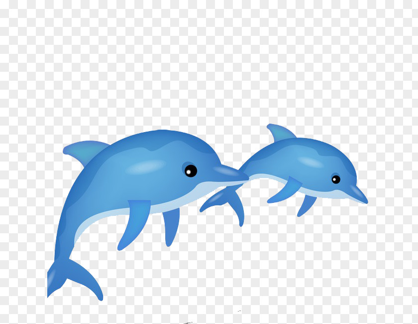 Delfin Vector Graphics Dolphin Image Clip Art Stock.xchng PNG