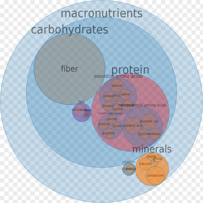 Health Fast Food Micronutrient Nutrition PNG