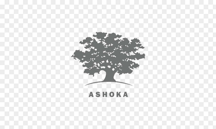 Leading Social Entrepreneurs Entrepreneurship Ashoka: Innovators For The Public Organization PNG