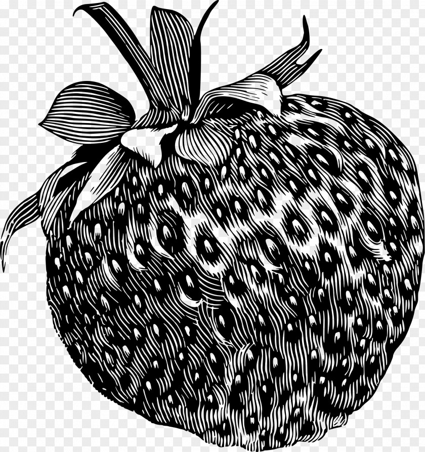 Strawberry Drawing Fruit Clip Art PNG