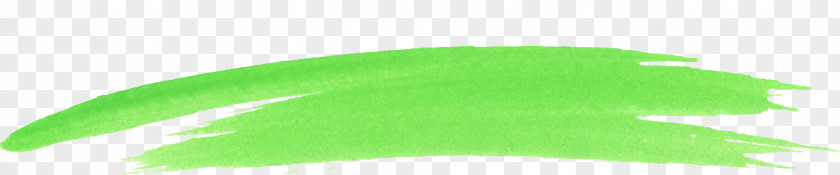 Watercolor Green Brush Leaf Grasses Font Line PNG