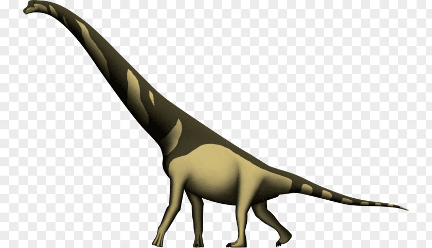 Diplodocus Brachiosaurus Cedarosaurus Giraffatitan Apatosaurus Dinosaur PNG