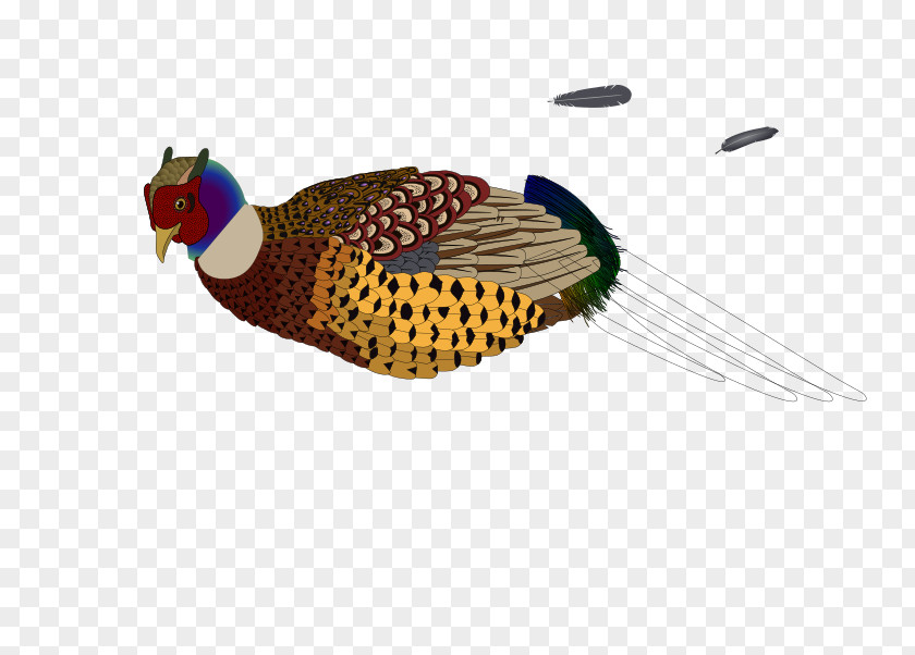 Pheasant Cliparts Bird Clip Art PNG
