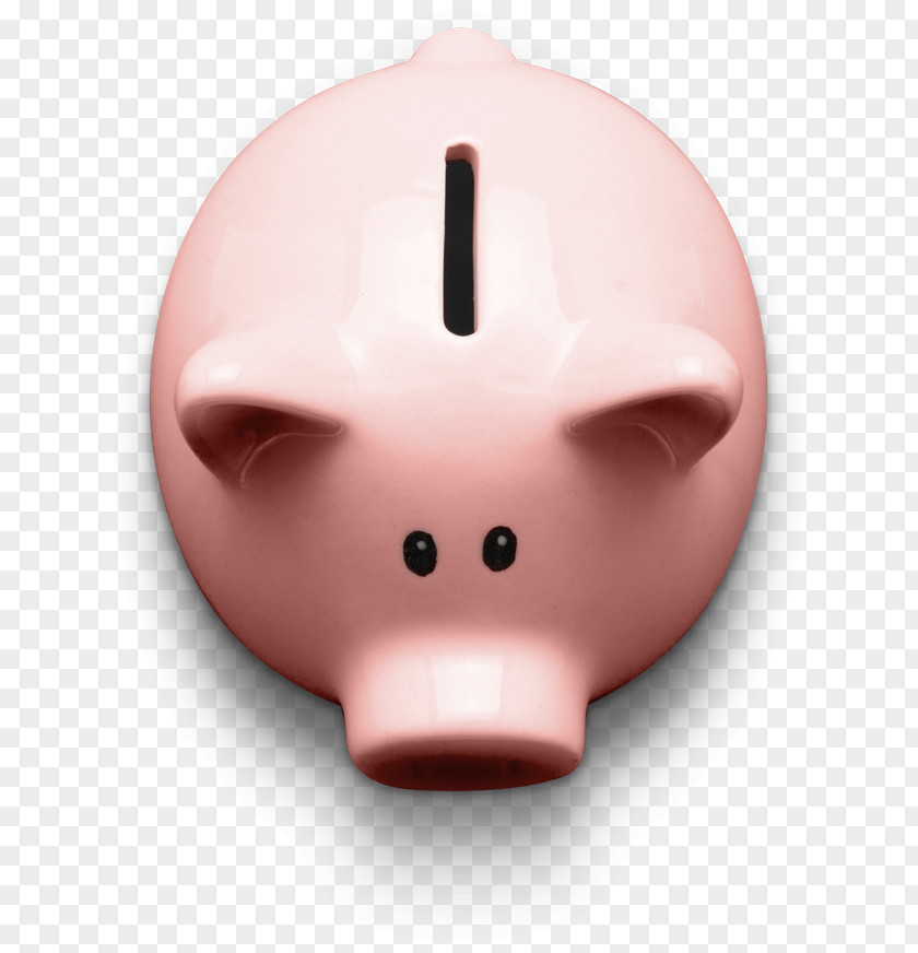 Piggy Bank Branch From Trolls Snout Pink Index Term PNG