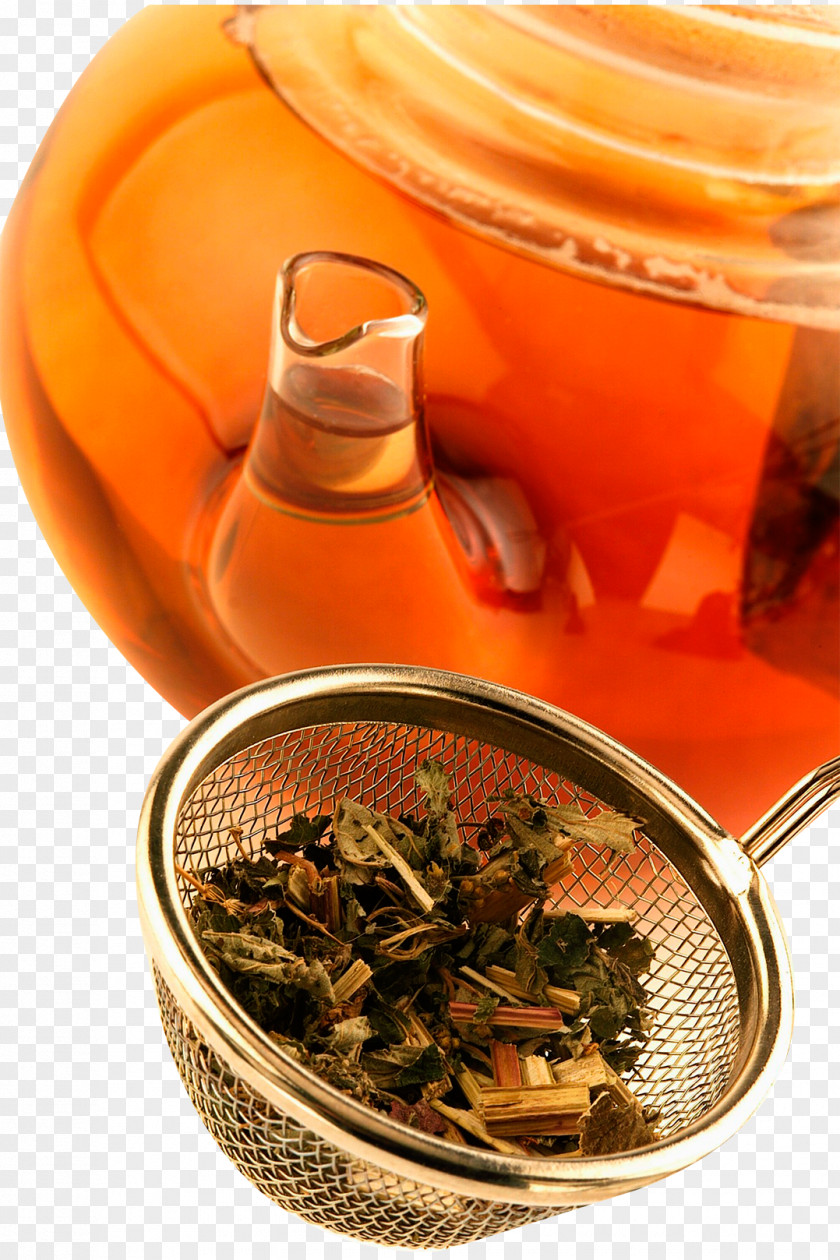 Tea Filter Earl Grey Mate Cocido Dianhong PNG