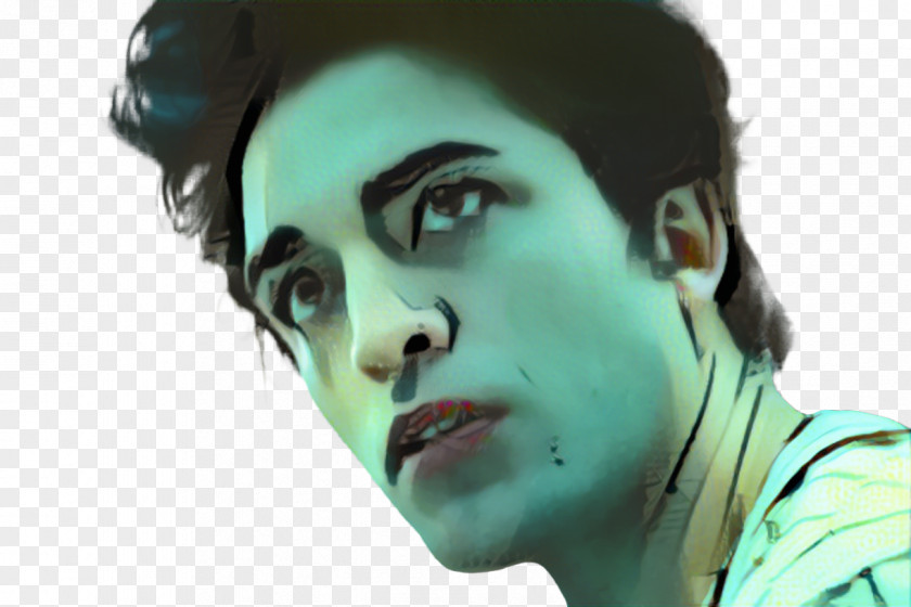 Twilight Nose Eyelash Eyebrow Shawn Mendes PNG