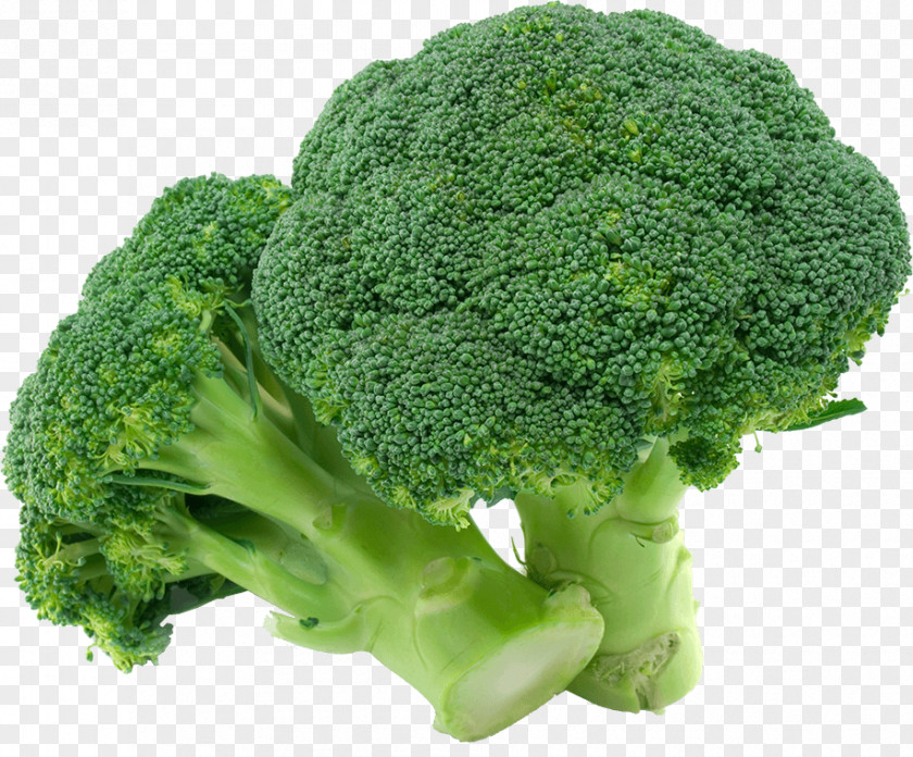 Broccoli Organic Food Vegetable PNG