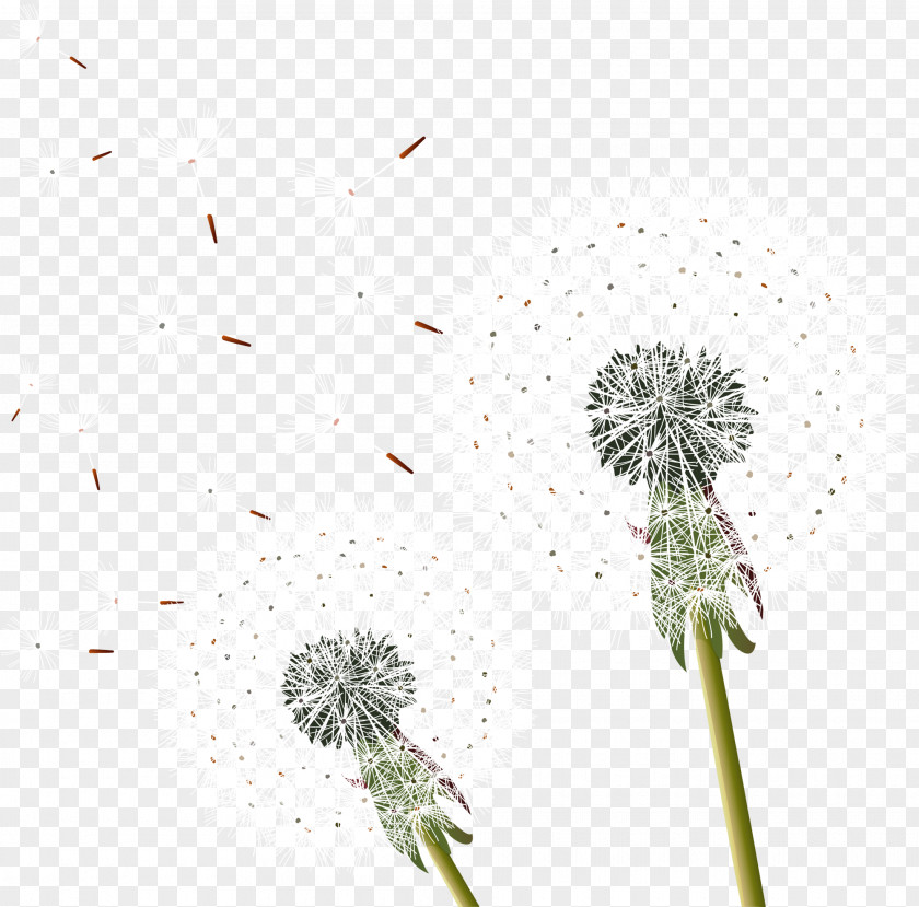 Fly Away Dandelion Common PNG