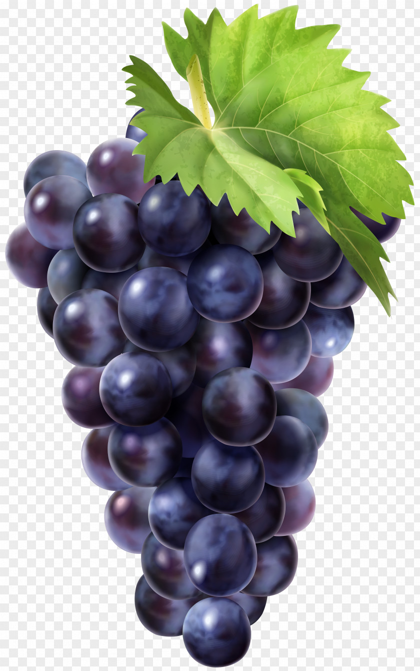 Grape Vector Graphics Clip Art Juice PNG