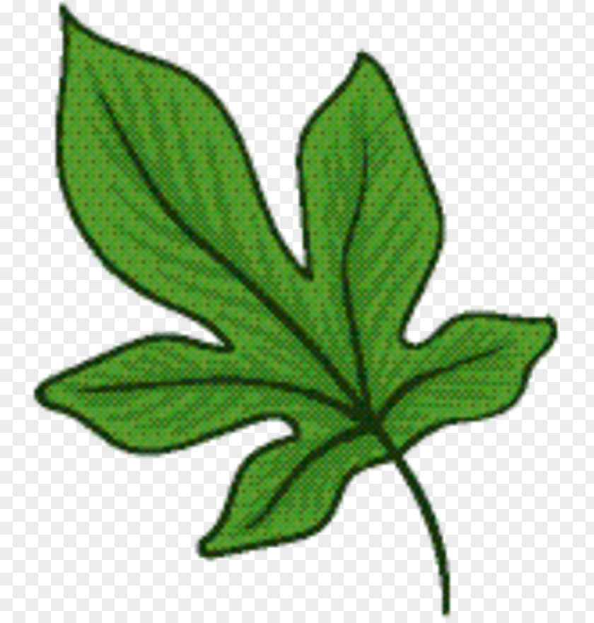 Plane Symbol Green Leaf Background PNG