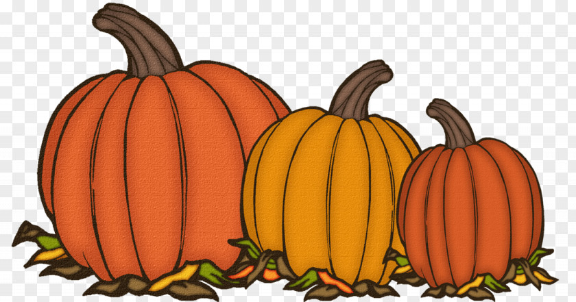 Thanksgiving Vegetarian Food Cartoon Pumpkin PNG