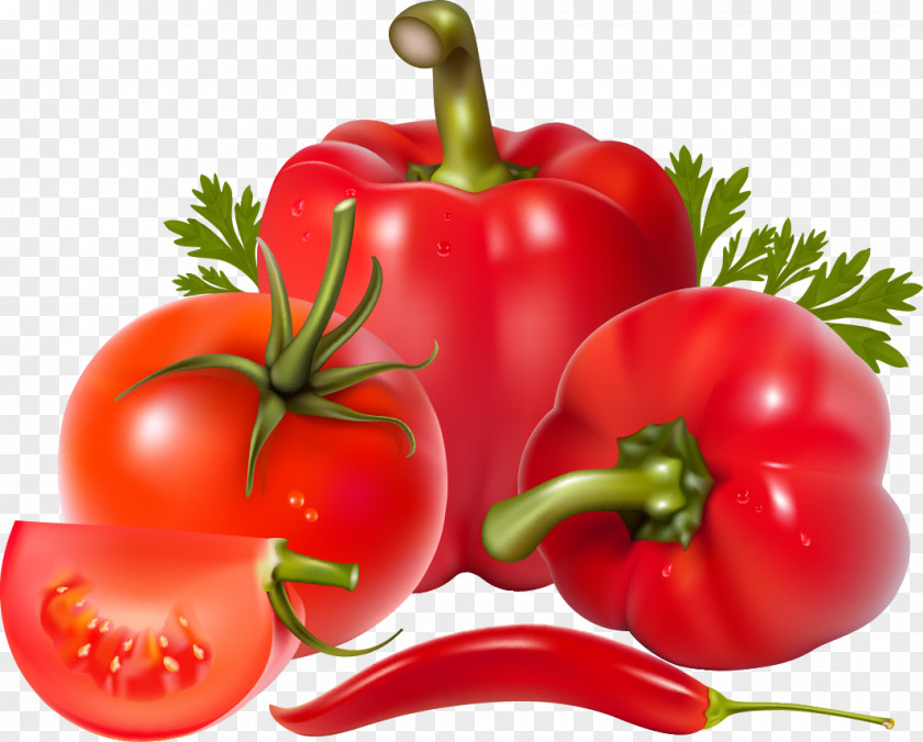 Tomato Bell Pepper Salsa Chili Vegetable Clip Art PNG