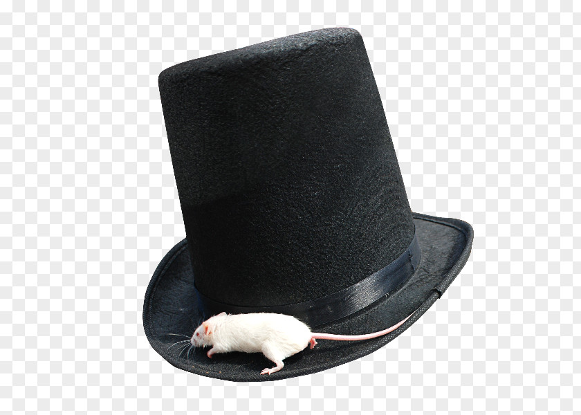 Top Hat Conner Hats Men's Steampunk Wool Portable Network Graphics Computer Mouse PNG