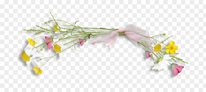 A Bouquet Of Flowers Bow Drawing Cartoon PNG