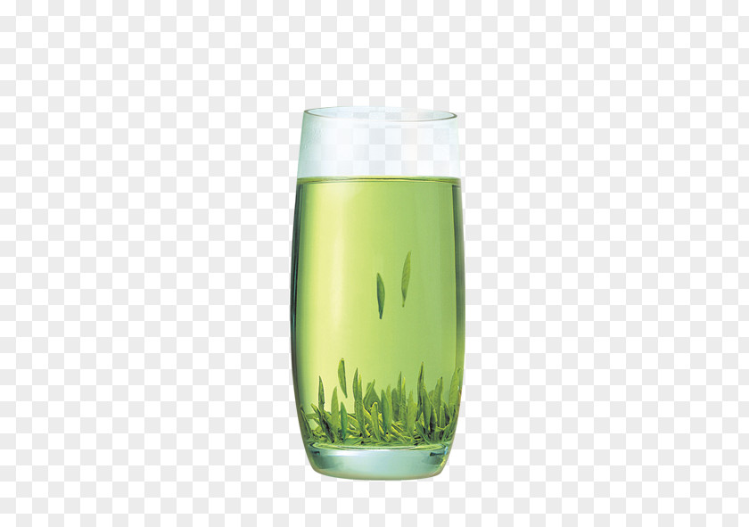 Green Tea Xinyang Maojian Teacup PNG