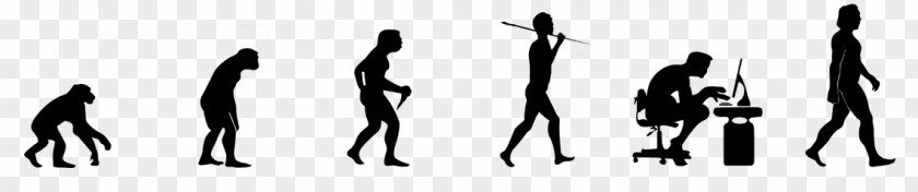 Human Evolution Homo Sapiens T-shirt Natural Selection PNG