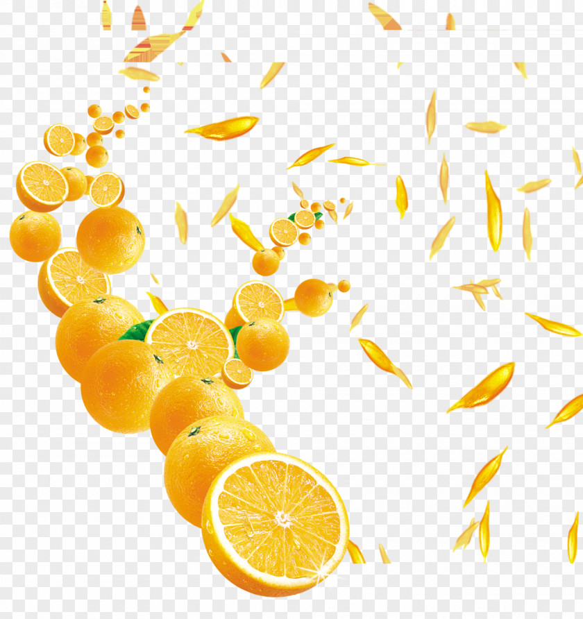 Orange Juice PNG