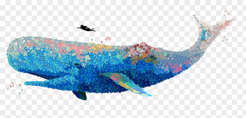 Painted Whale U8354u679d Watercolor Painting Illustrator Illustration PNG