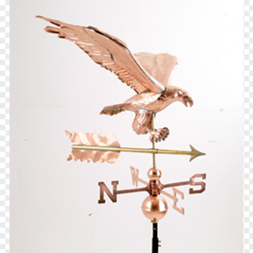 Weather Vane Bird Of Prey PNG