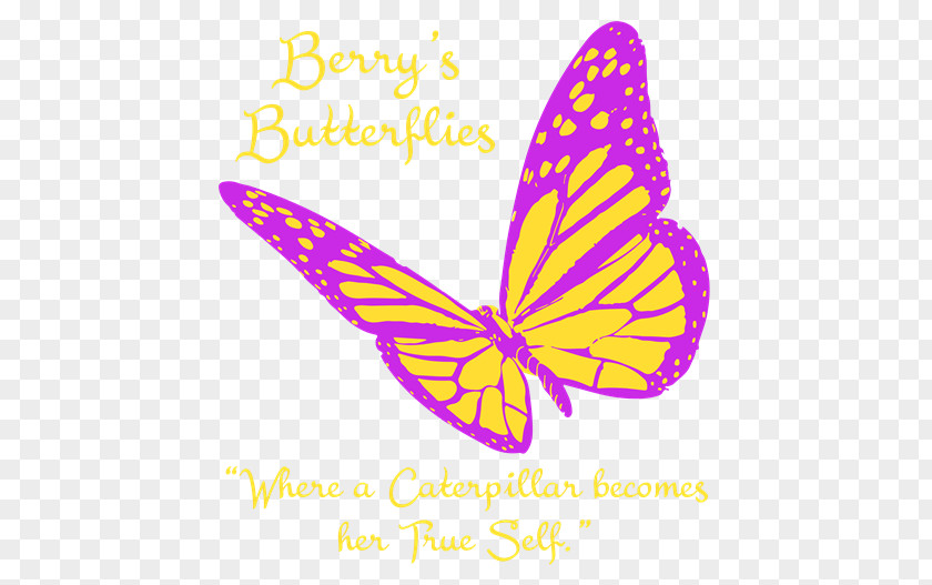 Butterfly Monarch Clip Art PNG