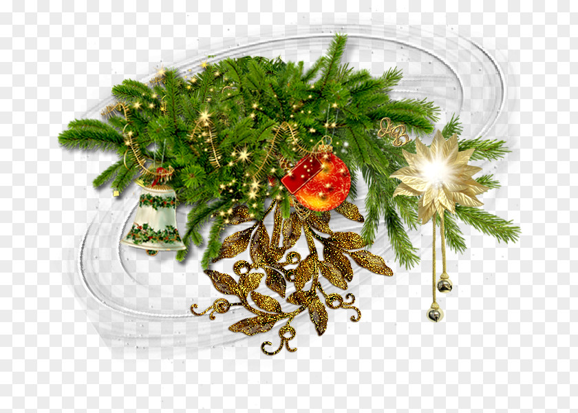 Christmas Ornament Vegetable PNG