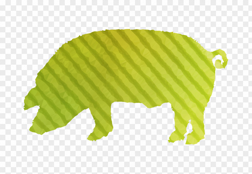 Domestic Pig Roast Pork Clip Art Download PNG