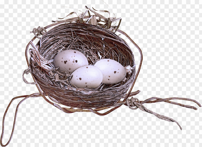 Egg Nest PNG