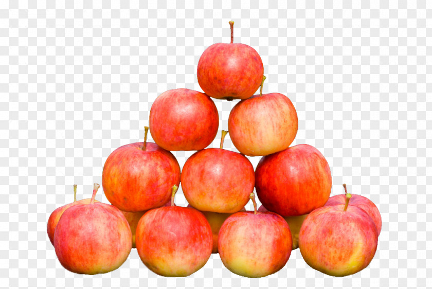 Fruit Picture Painted 3d Image Of 3D Computer Graphics Drawing PNG