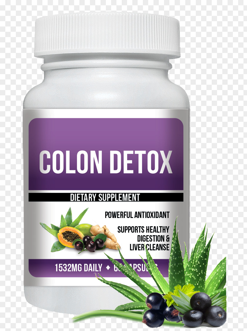 Health Dietary Supplement Garcinia Cambogia Detoxification Colon Cleansing PNG