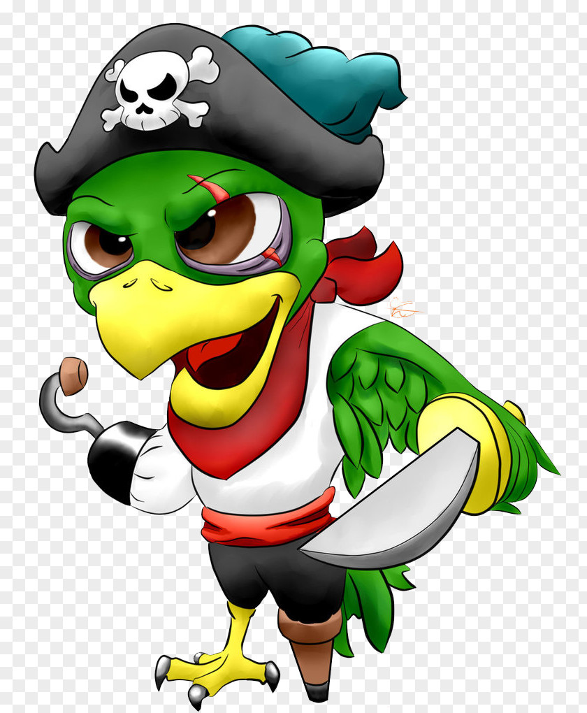 Pirate Parrot Image Cartoon Clip Art PNG