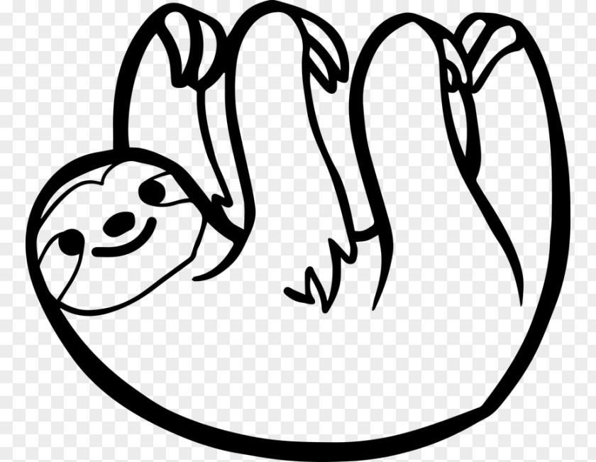 Sloth Animal Pygmy Three-toed Drawing Two-toed Sloths Bear PNG