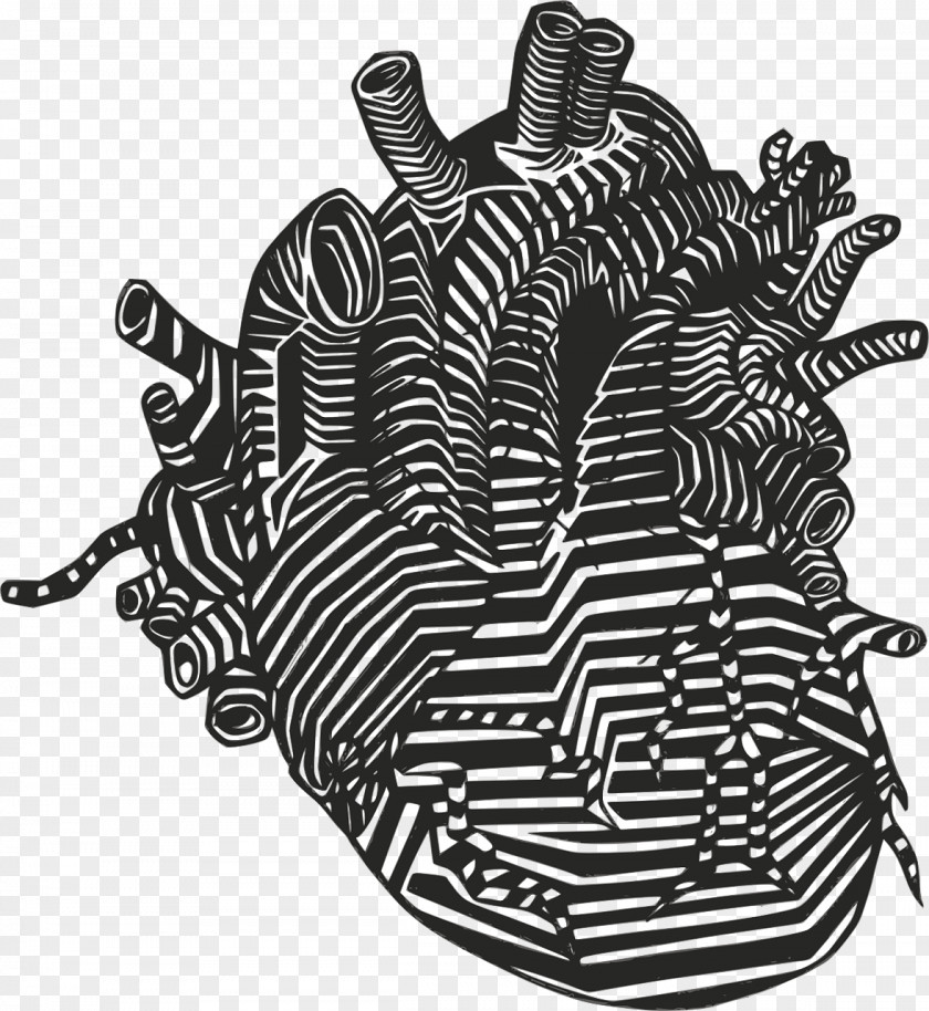 T-shirt Heart Anatomy Clip Art PNG