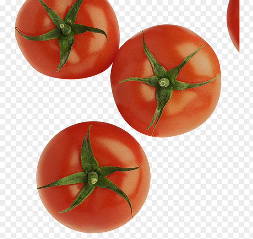 Tomato Plum Bush Royalty-free Food PNG