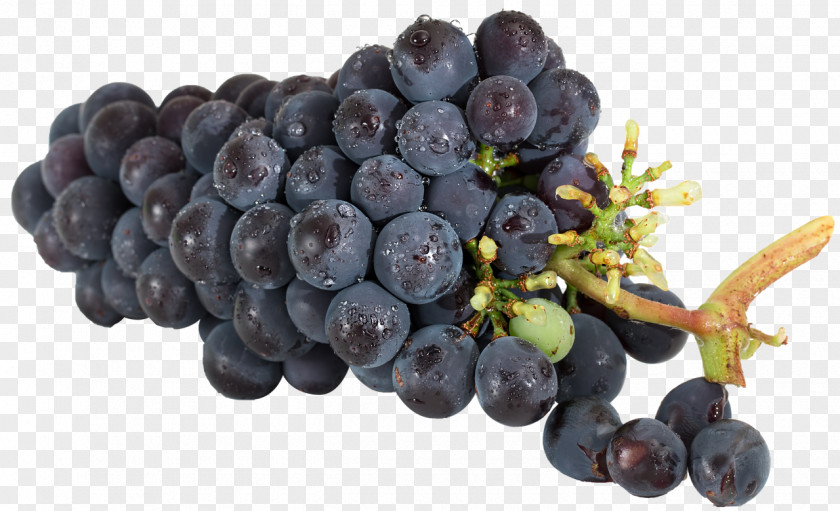 Wine Common Grape Vine Food Seedless Fruit PNG