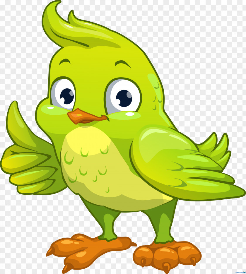 Birds Bird Cartoon PNG