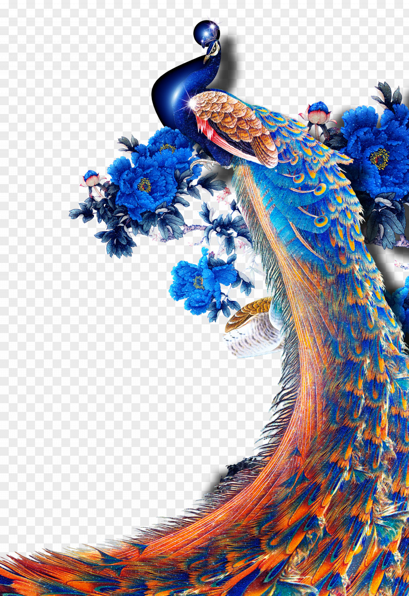 Peacock Bird Peafowl Poster Illustration PNG