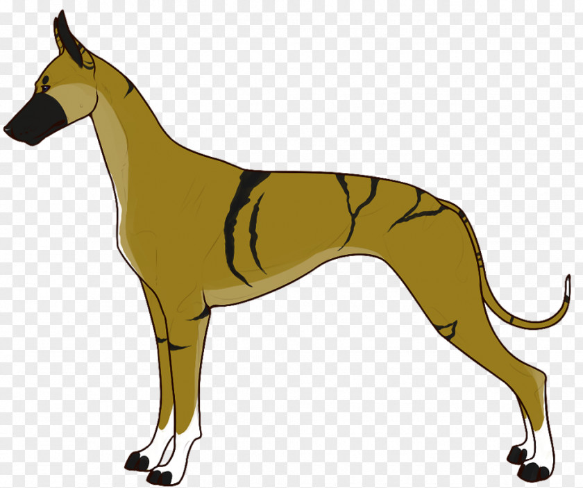 Rejoice Whippet Italian Greyhound Spanish Sloughi PNG
