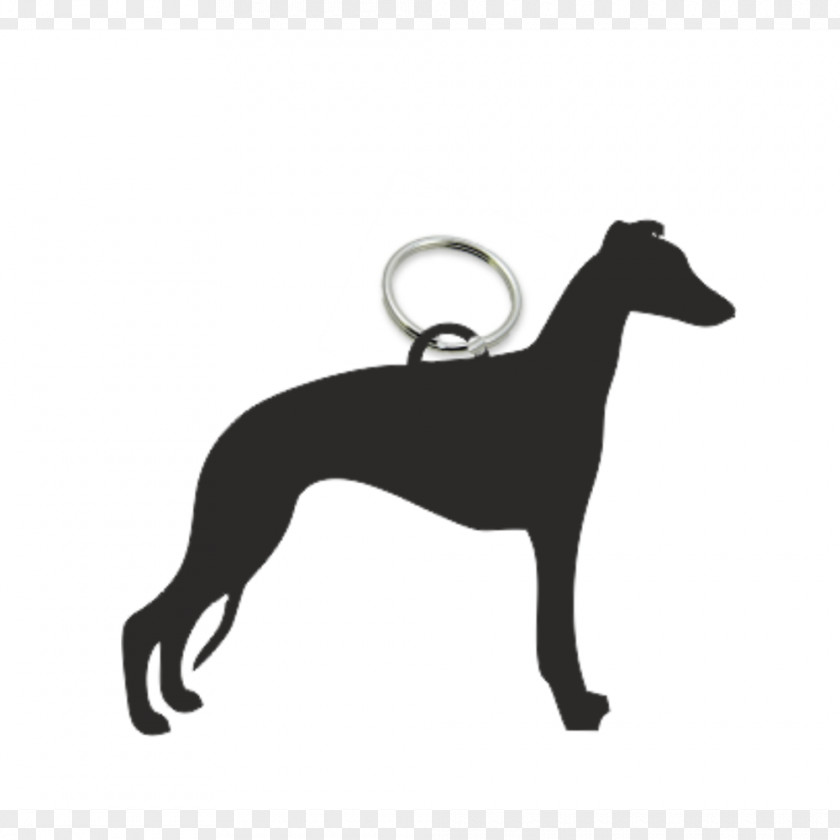 Silhouette Whippet Italian Greyhound Shih Tzu PNG