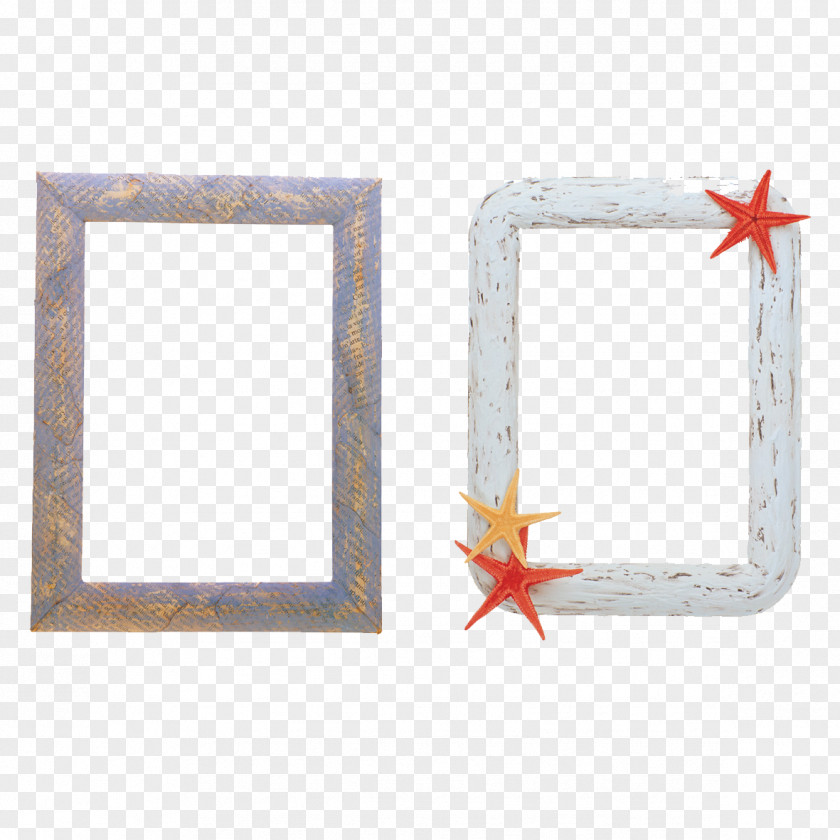 Starfish Framework Photographic Film Digital Video Picture Frame Clip Art PNG