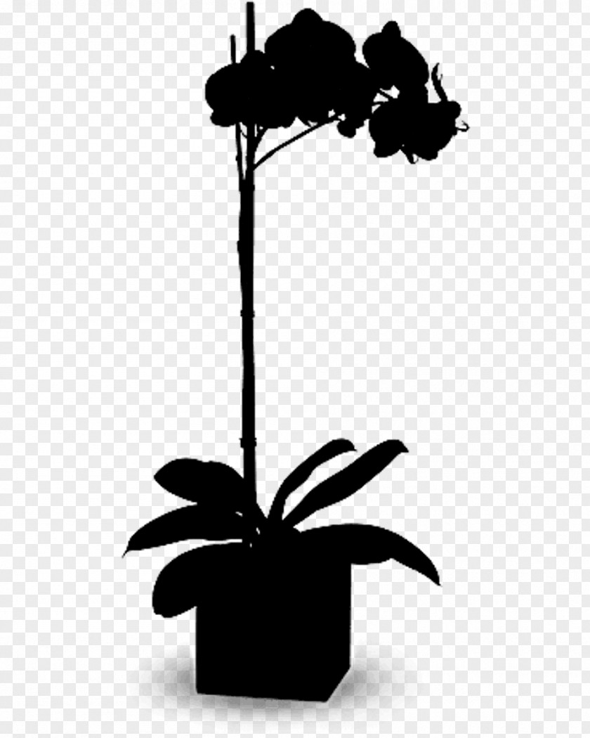 Tree Clip Art Flowering Plant Silhouette PNG