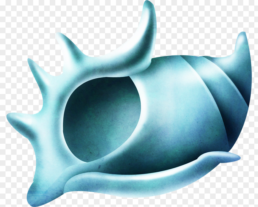 Blue Conch Shark Idea Clip Art PNG