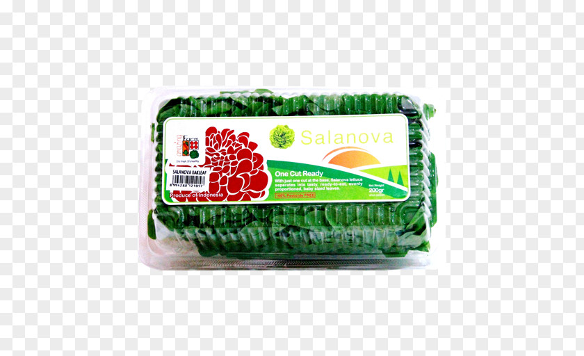 English Oak Leaf Product Lettuce Tagline Food PNG