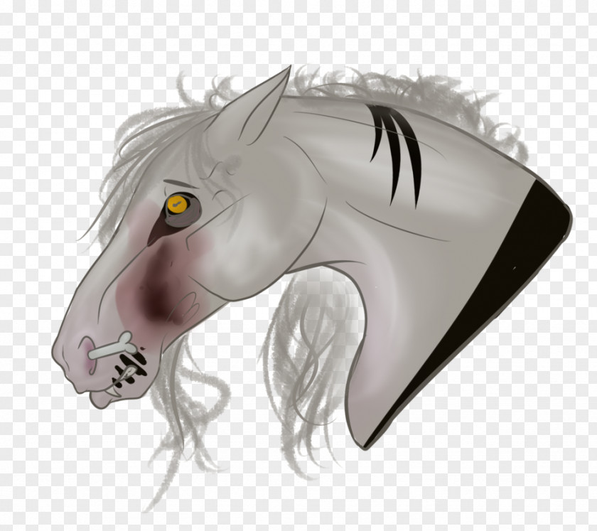 Horse Jaw Snout PNG
