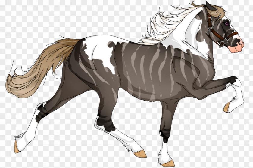 Horse Mane Foal Stallion Pony PNG