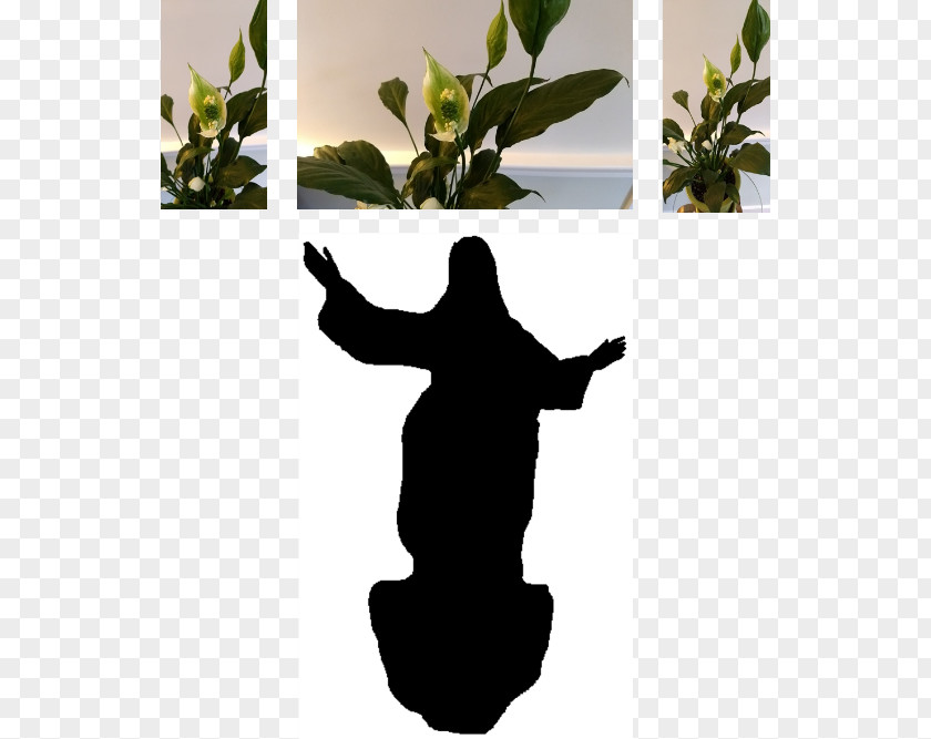 Jesus Easter Silhouette Plant Tree PNG