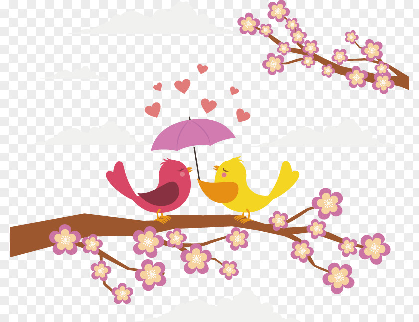 Love Birds Lovebird Euclidean Vector PNG