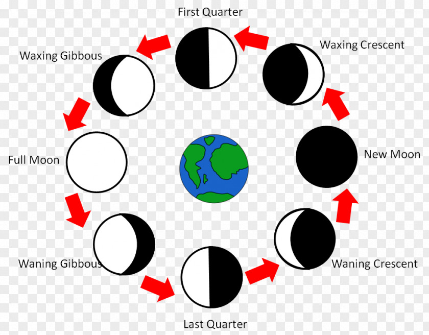 Moon Lunar Phase Number Fourth Grade PNG