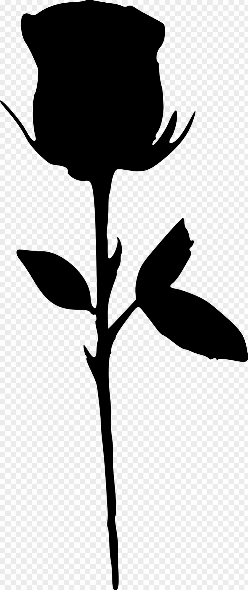 Rose Outline Silhouette Black And White Clip Art PNG