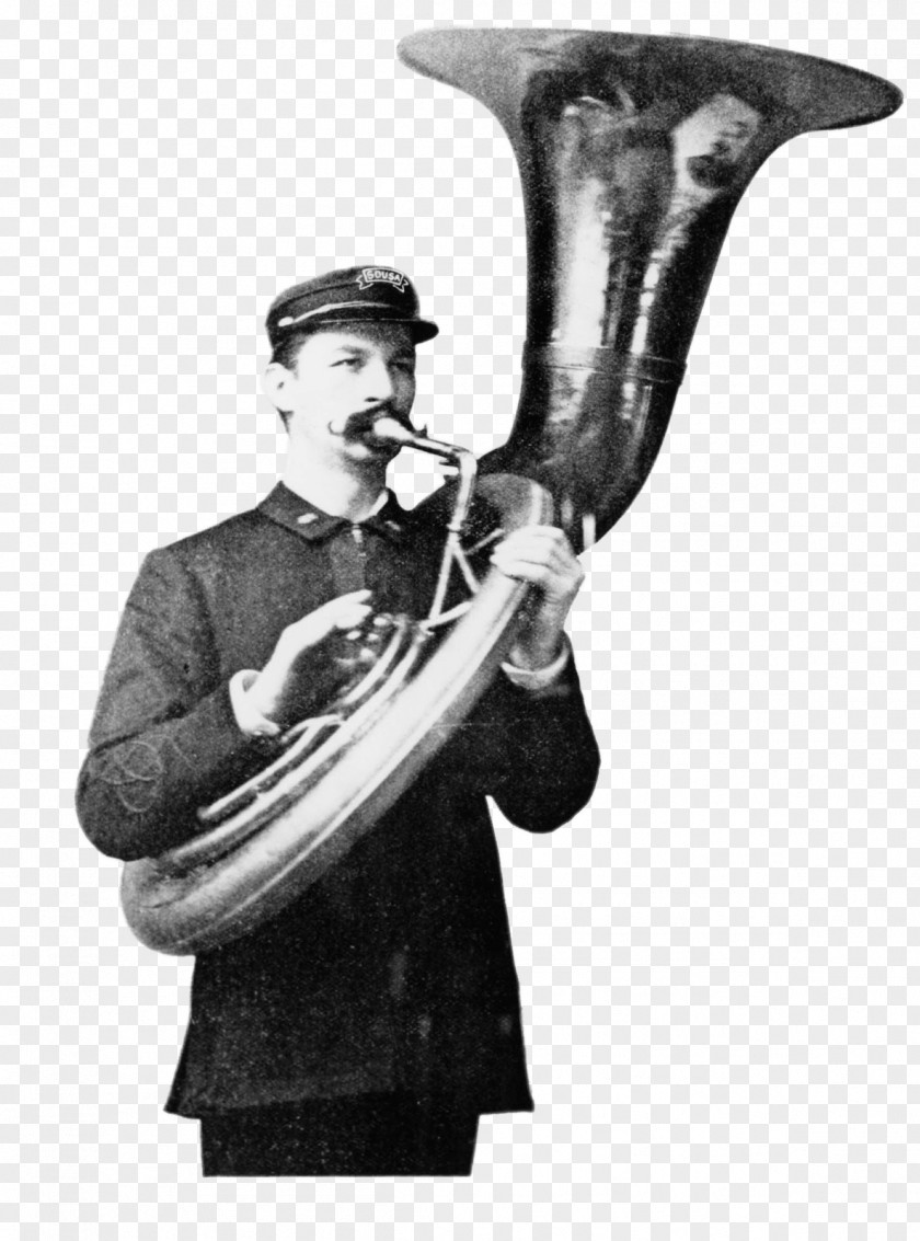 Trumpet Cornet Sousaphone Bugle French Horns PNG